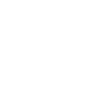 ornina.it logo
